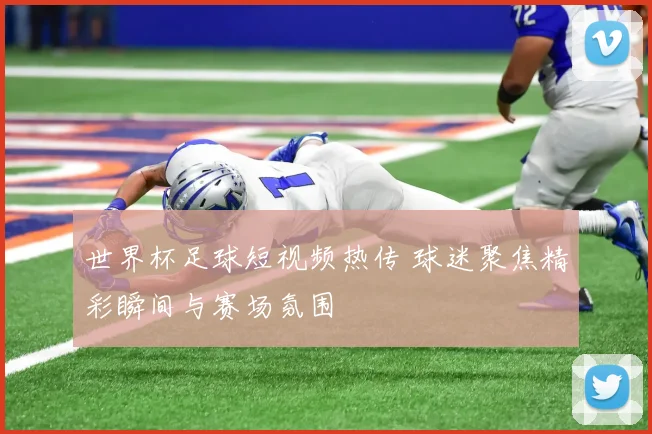 世界杯足球短视频热传 球迷聚焦精彩瞬间与赛场氛围